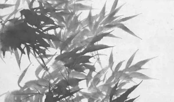 2020-03-25_201001.jpg