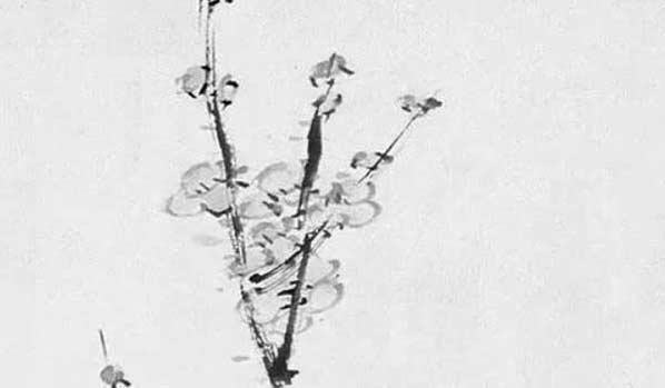 2020-03-25_202533.jpg