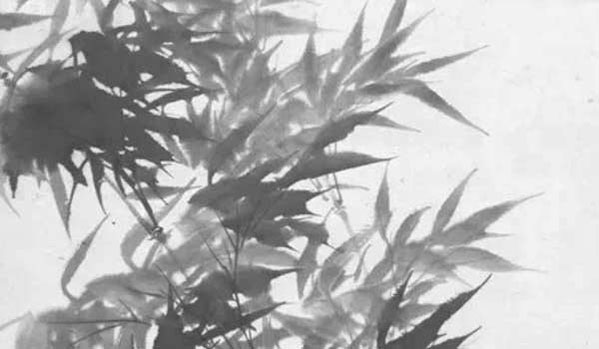 2020-03-25_201001.jpg