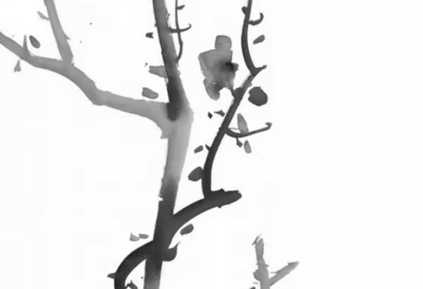 2020-03-25_195944.jpg