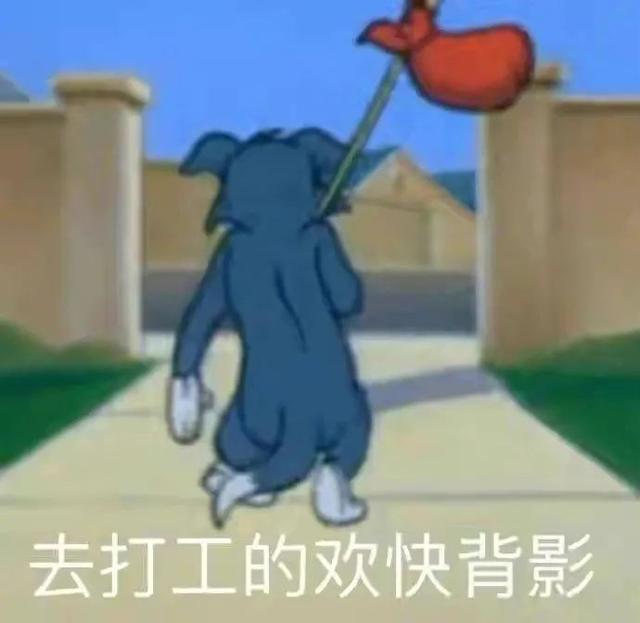 裴秀智八字刘海 裴秀智八字刘海